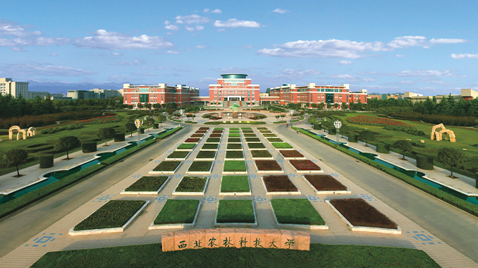 西北农林科技大学
